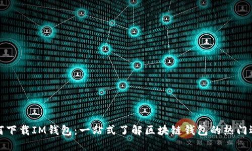 如何下载IM钱包:一站式了解区块链钱包的热门选择