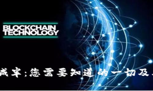 2024年比特币减半:您需要知道的一切及其对市场的影响
