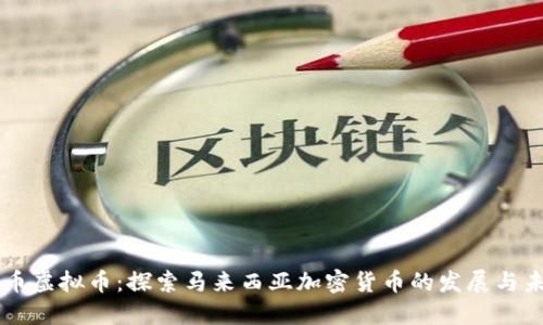 马币虚拟币：探索马来西亚加密货币的发展与未来