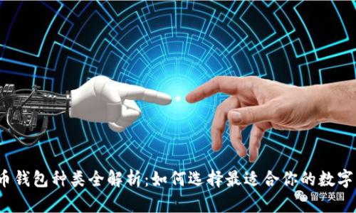 2023年虚拟币钱包种类全解析：如何选择最适合你的数字资产存储方式
