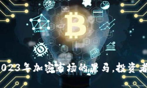 Votken虚拟币:2023年加密市场的黑马,投资者不可错过的机会