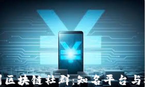 探索德州区块链社群:知名平台与参与指南