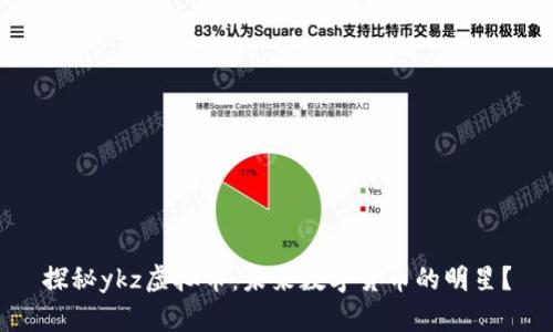 探秘ykz虚拟币：未来数字货币的明星？