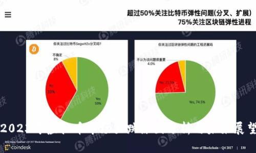 2023年虚拟币市场大跌原因分析与未来展望