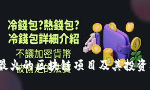 2023年最火的区块链项目及其投资机会解析