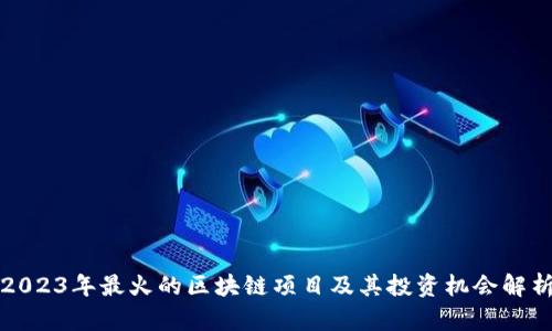 2023年最火的区块链项目及其投资机会解析