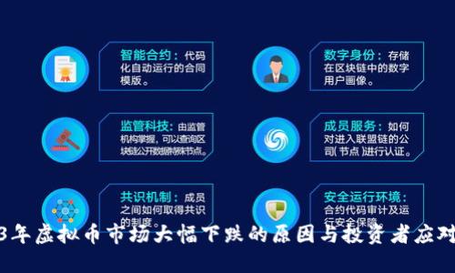 2023年虚拟币市场大幅下跌的原因与投资者应对策略