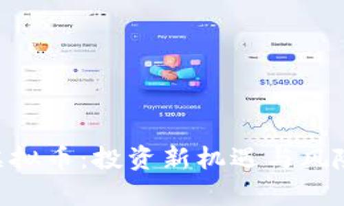 SCC虚拟币:投资新机遇与风险解析