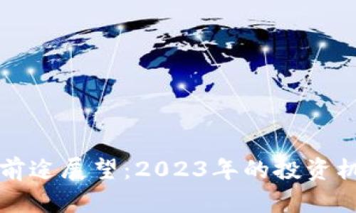 虚拟币的前途展望：2023年的投资机会与挑战