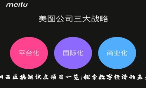 阳西区块链试点项目一览：探索数字经济的未来