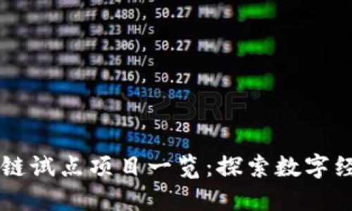 阳西区块链试点项目一览：探索数字经济的未来