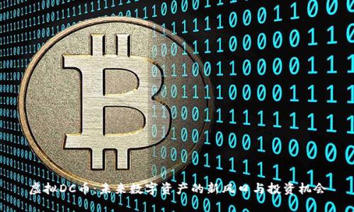 虚拟DC币：未来数字资产的新风口与投资机会