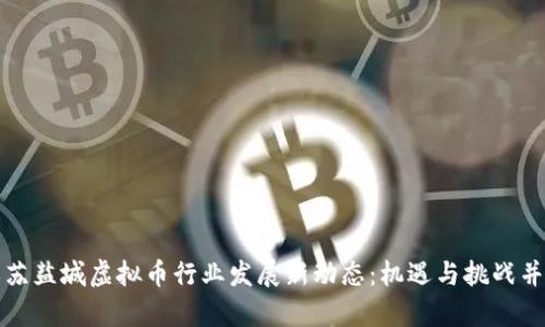 江苏盐城虚拟币行业发展新动态:机遇与挑战并存