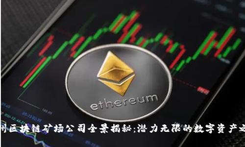 贵州区块链矿场公司全景揭秘:潜力无限的数字资产之地
