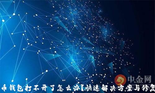 虚拟币钱包打不开了怎么办?快速解决方案与修复指南