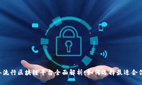 2023年流行区块链平台全面解析:如何选择最适合你的项目