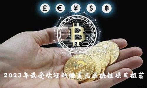 2023年最受欢迎的赚美元区块链项目推荐