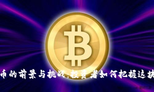 泰达虚拟币的前景与挑战:投资者如何把握这块新兴市场