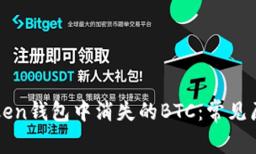 如何恢复imToken钱包中消失的BTC:常见原因及解决方案