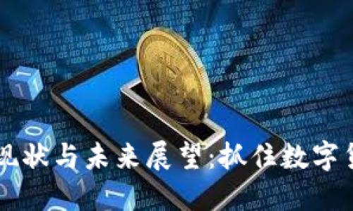 BIDT虚拟币的现状与未来展望:抓住数字货币的投资机遇