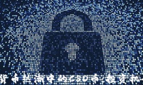
2023年虚拟货币热潮中的CSD币：投资机会与风险揭秘