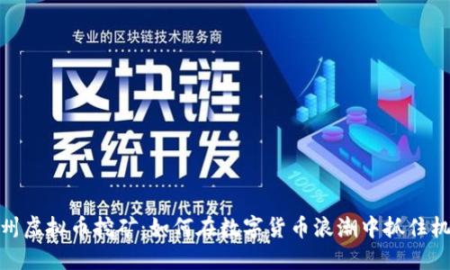湖州虚拟币挖矿：如何在数字货币浪潮中抓住机遇
