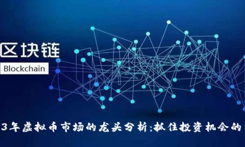 2023年虚拟币市场的龙头分析:抓住投资机会的关键