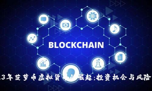 2023年菠萝币虚拟货币的崛起：投资机会与风险解析