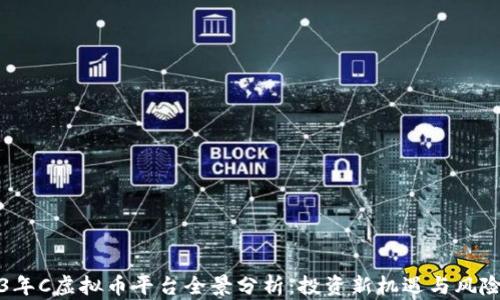 
2023年C虚拟币平台全景分析：投资新机遇与风险评估