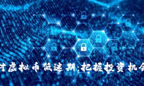 如何应对虚拟币低迷期：把握投资机会与风险