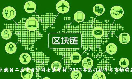 区块链二层平台公司全景分析:2023年热门项目与市场前景