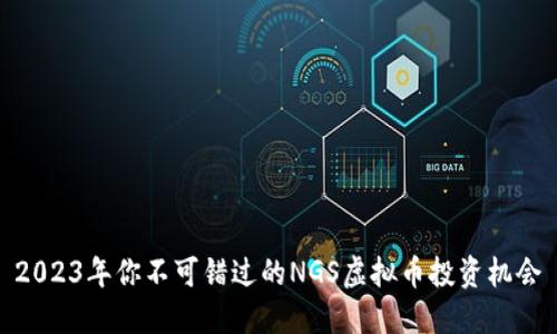 2023年你不可错过的NGS虚拟币投资机会