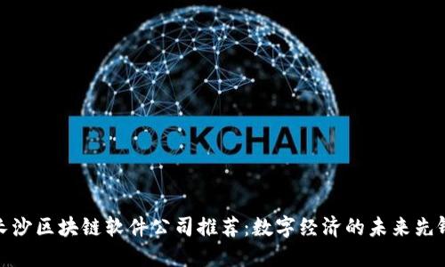 长沙区块链软件公司推荐：数字经济的未来先锋