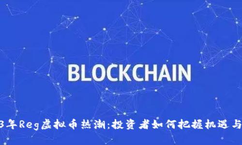 2023年Reg虚拟币热潮：投资者如何把握机遇与风险