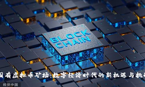 国有虚拟币矿场：数字经济时代的新机遇与挑战