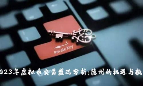 2023年虚拟币交易盛况分析：德州的机遇与挑战