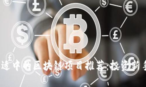 2023年价格适中的区块链项目推荐：投资新手的理想选择