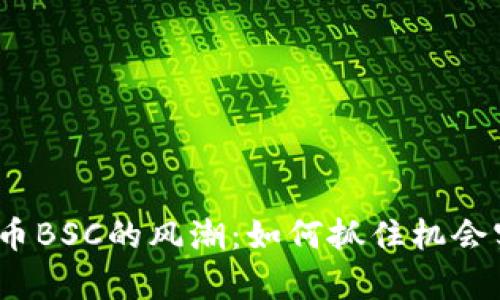2023年虚拟币BSC的风潮：如何抓住机会实现财富增长