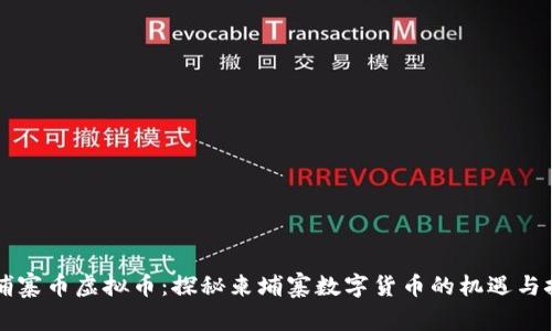 柬埔寨币虚拟币：探秘柬埔寨数字货币的机遇与挑战