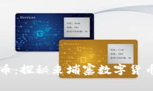 柬埔寨币虚拟币：探秘柬埔寨数字货币的机遇与挑战