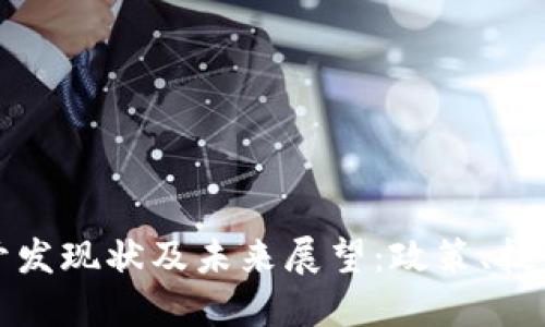 国内虚拟币开发现状及未来展望:政策、技术与市场趋势