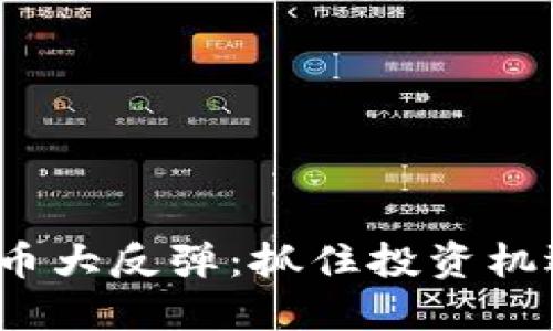 2023年虚拟币大反弹：抓住投资机遇的关键时刻