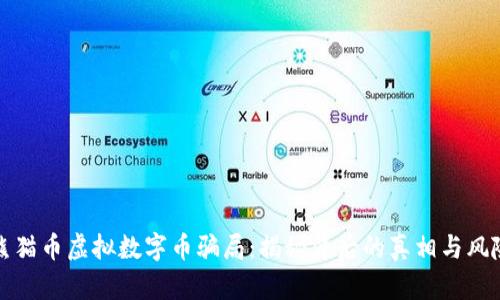 熊猫币虚拟数字币骗局：揭秘背后的真相与风险