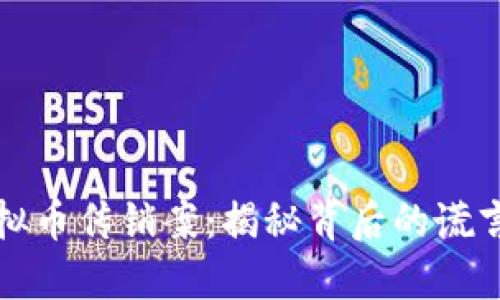 杭州虚拟币传销案：揭秘背后的谎言与现实