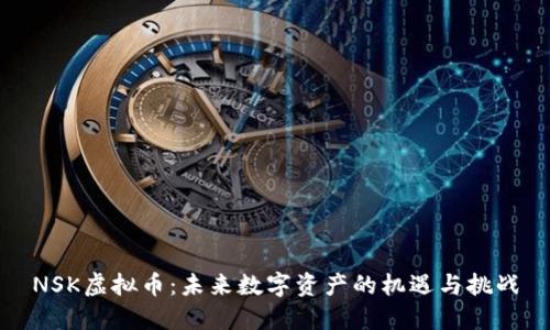 NSK虚拟币：未来数字资产的机遇与挑战