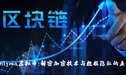 Enigma虚拟币：解密加密技术与数据隐私的未来