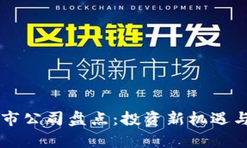区块链借款上市公司盘点：投资新机遇与潜在风险分析