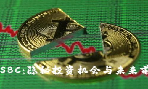虚拟币SBC：隐秘投资机会与未来前景分析