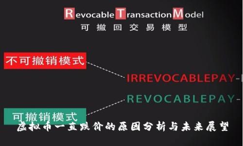 虚拟币一直跌价的原因分析与未来展望