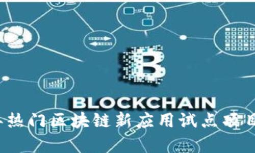 2023年热门区块链新应用试点项目全解析